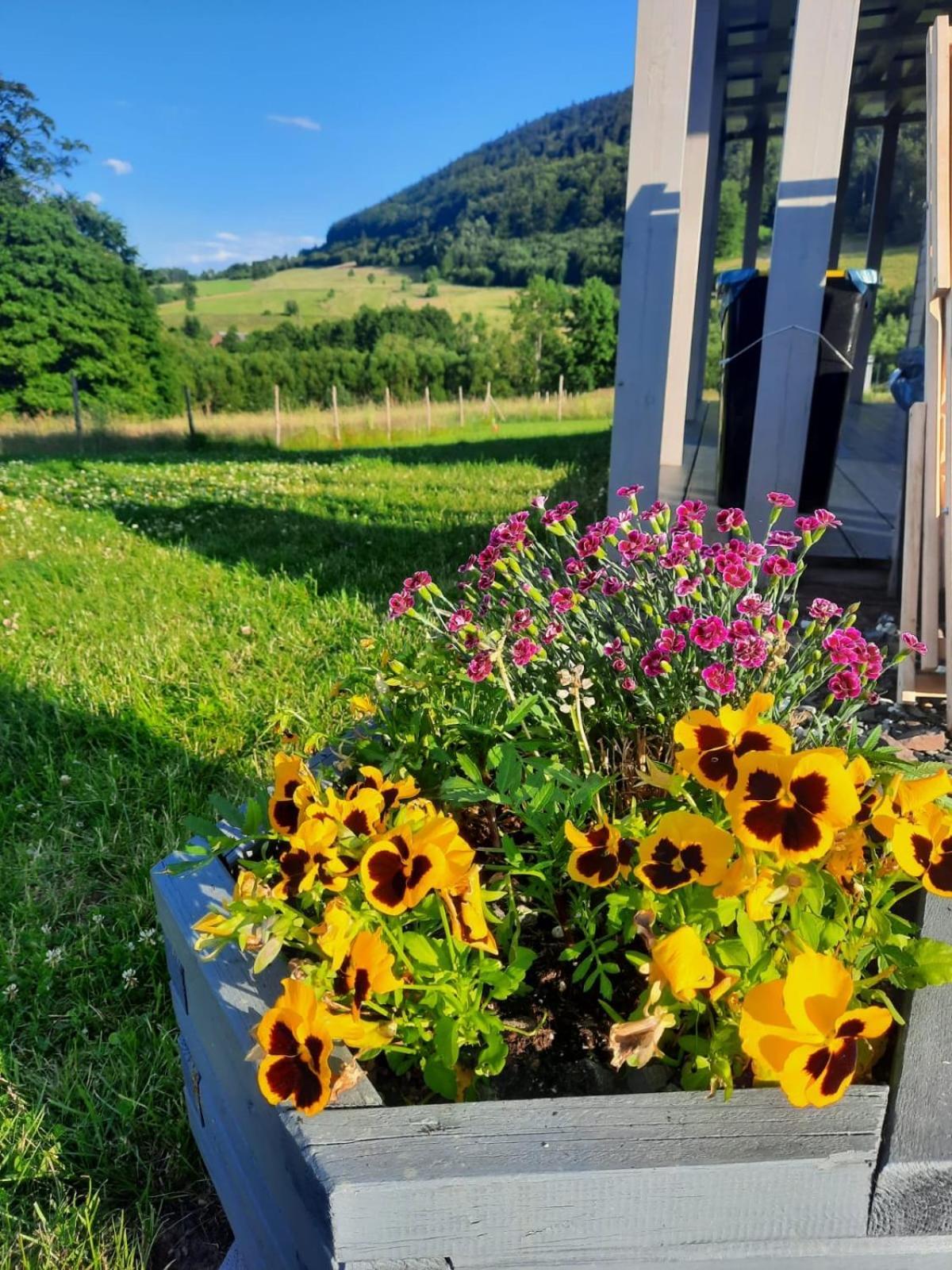 Ostoja Holiday home